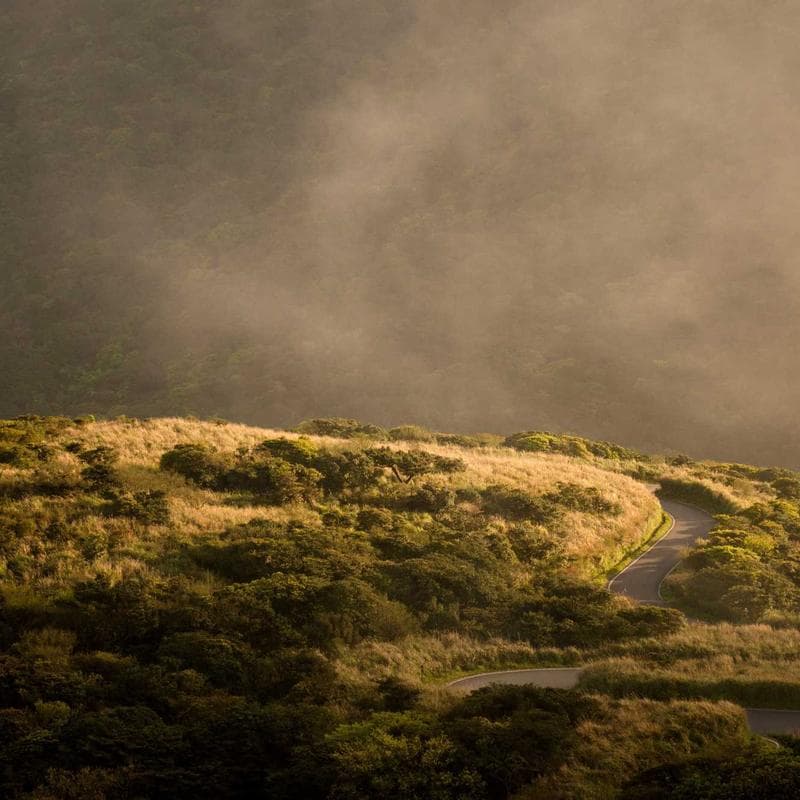 Lord Hanuman - The Most Popular Divine Depiction