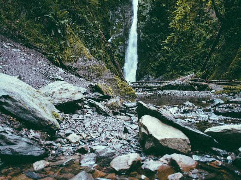 The Squirrel and the Ram Setu