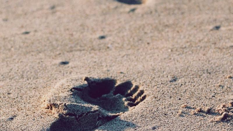 The Power of Bajrang Baan